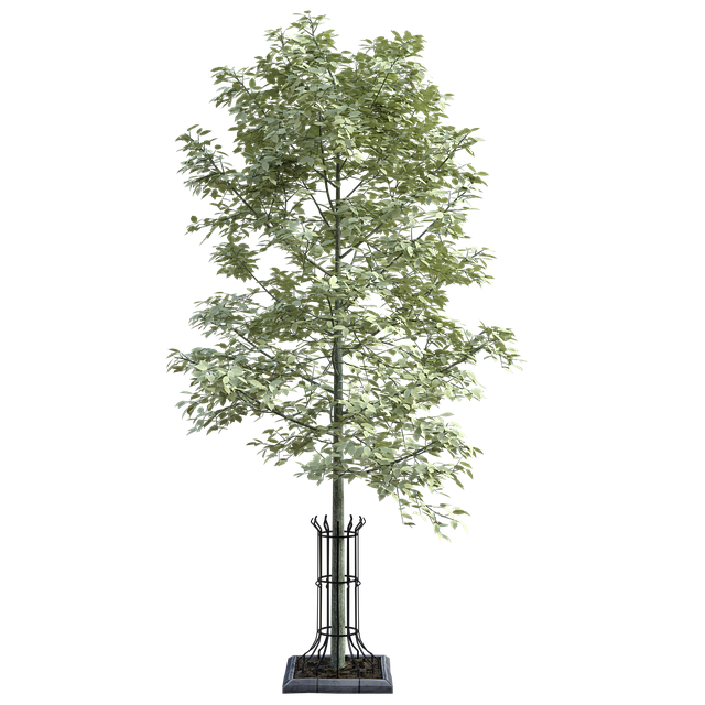 Free tree grate 3d illustration
