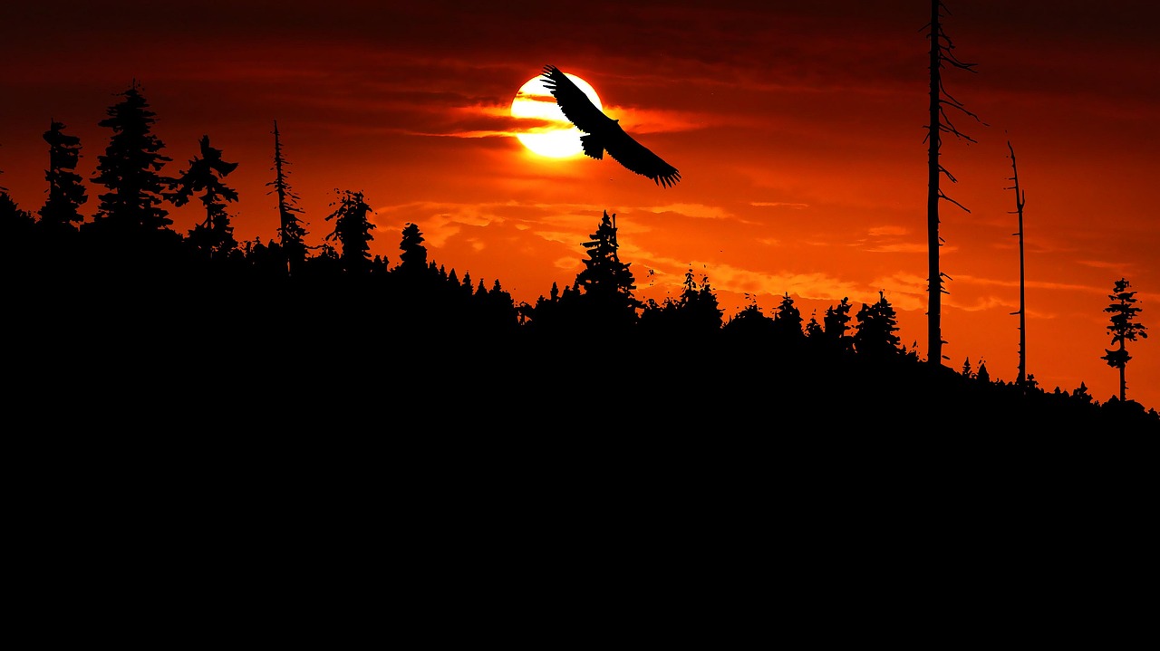 Sunset - free online jigsaw puzzle photo
