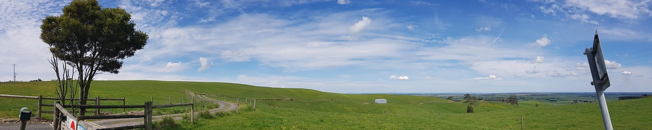 Gippsland Lookout Green - Free photo on Pixabay