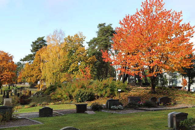 Free Autumn Autumn Leaf photo and picture