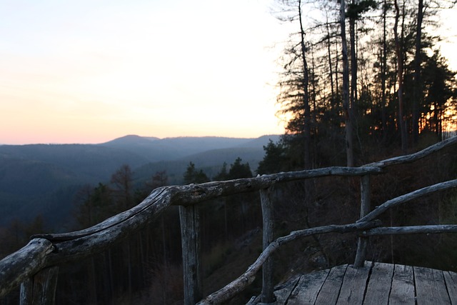 Free Sunset Wood photo and picture