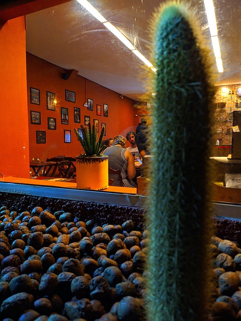 Free Cactus Restaurant photo and picture