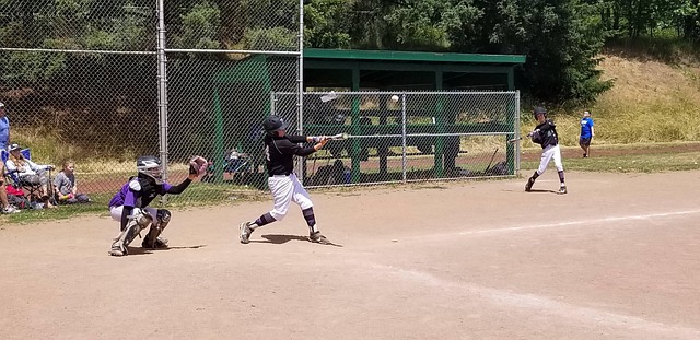 Free Baseball Home Run photo and picture