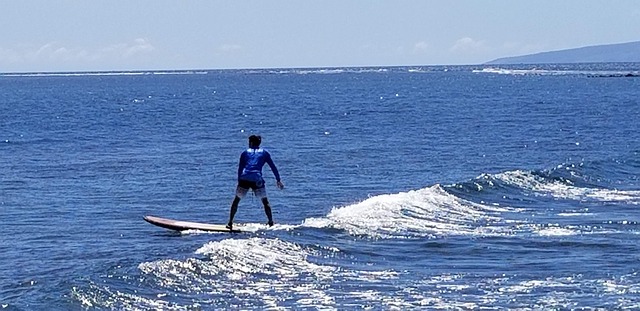 Free Surfing Maui photo and picture