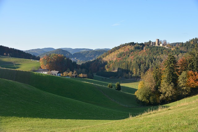 Efterår, Slot, Natur, Middelalderen