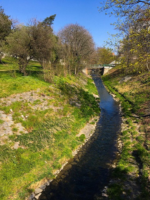 Free Botič Stream photo and picture