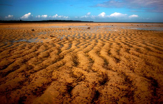 Free Sand Bars Sandbar photo and picture