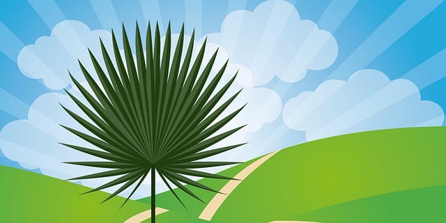 Free palm sunday palm tree psalm sunday illustration
