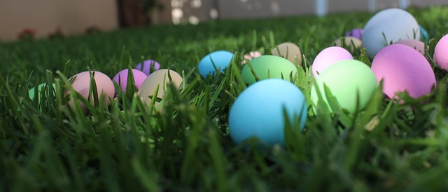 Free Easter Garden photo and picture