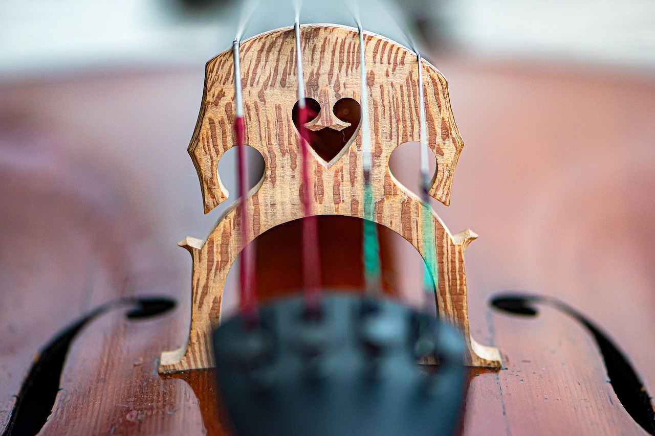 Cello Strings Sound Free photo on Pixabay Pixabay