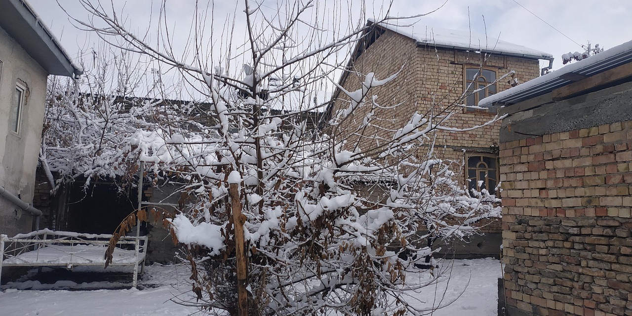 Snowfall Snow In Rassia - Free photo on Pixabay - Pixabay