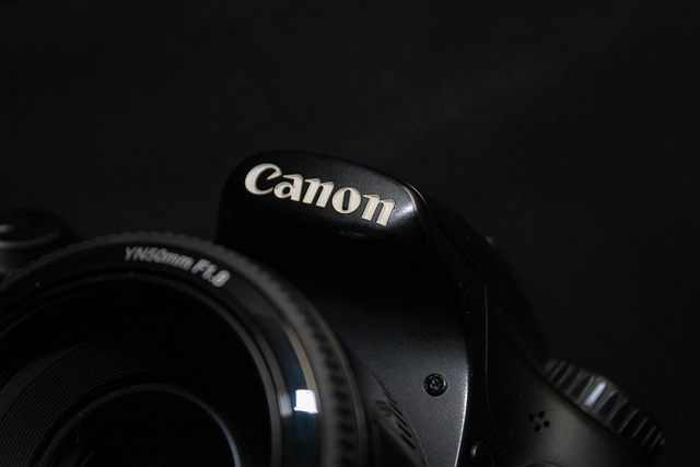 Free Canon Photography photo and picture