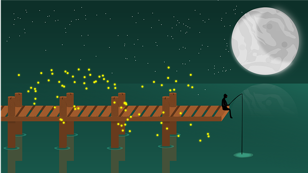 Free Fishing Night Sky illustration and picture