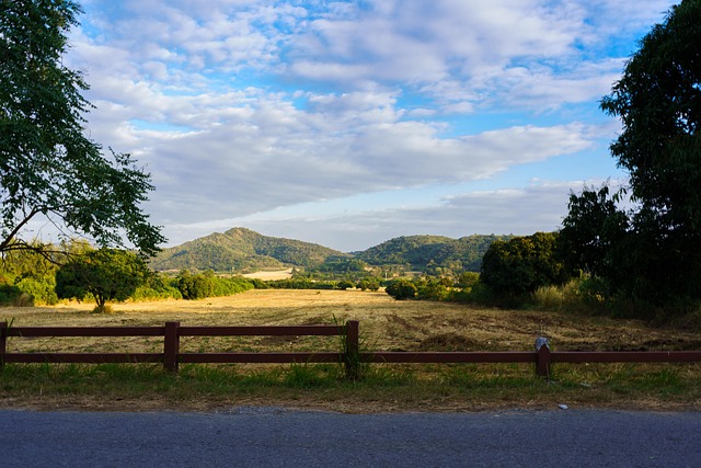 Free Mountain Landscape photo and picture