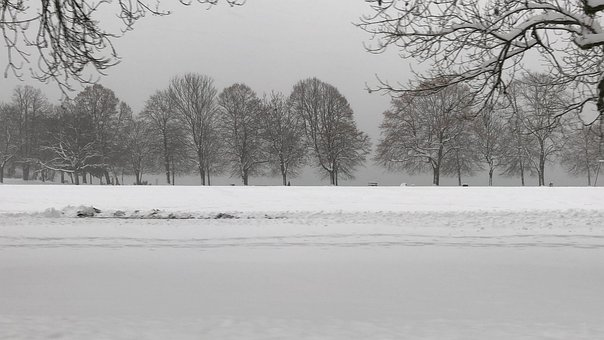 Free Winter Snow photo and picture