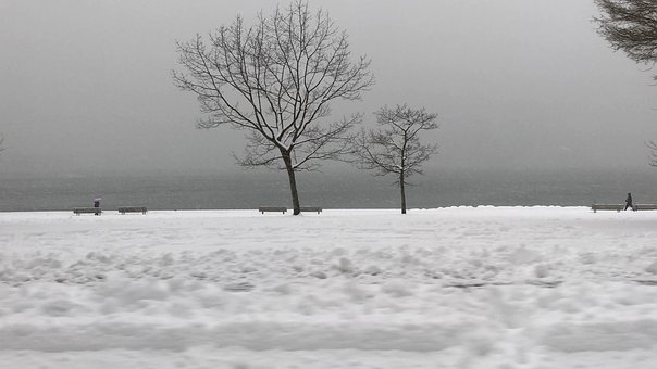 Free Winter Snow photo and picture