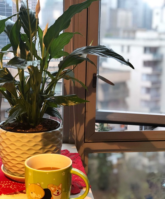 Free Peace Lily Coffee photo and picture
