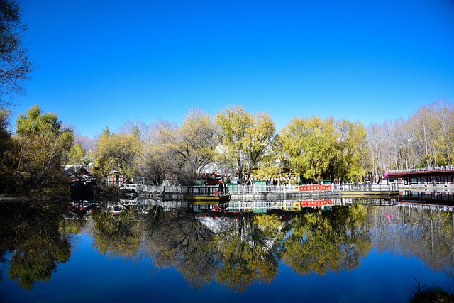 Free Blue Sky Community photo and picture