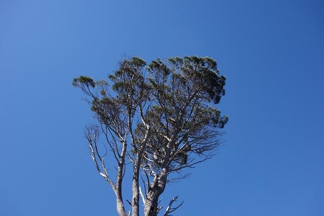 Free South Africa Heaven photo and picture