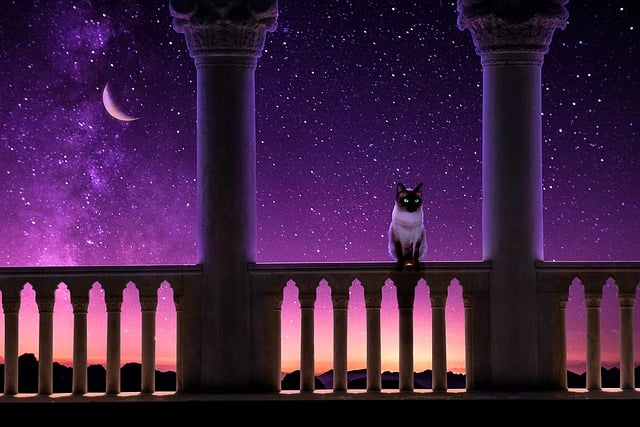 Free night star fantasy column illustration