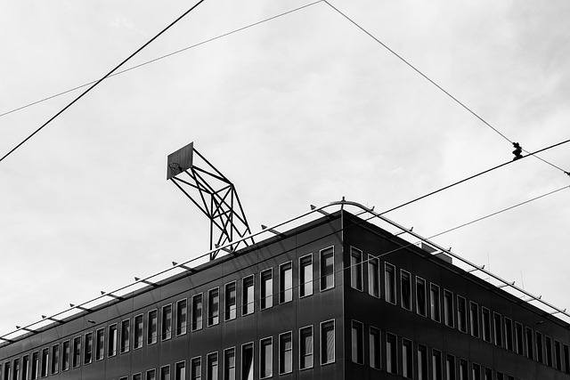 Free Downtown Cityscape photo and picture
