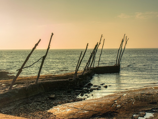 Solnedgang, Fisker, Hav, Strand, Natur