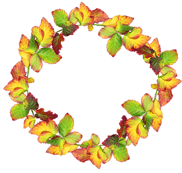 Download free HD stock image of Frame Border Free frame border wreath illustration