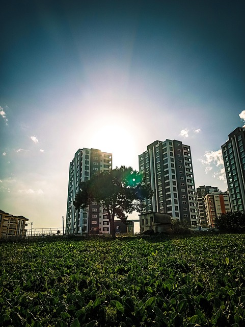 Free Life Nature photo and picture
