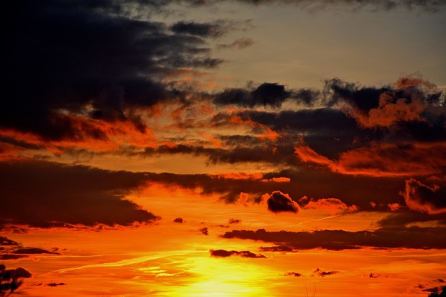 Free Sun Sunrise photo and picture