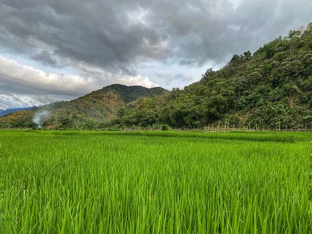 Free Landscape Nice Photo photo and picture