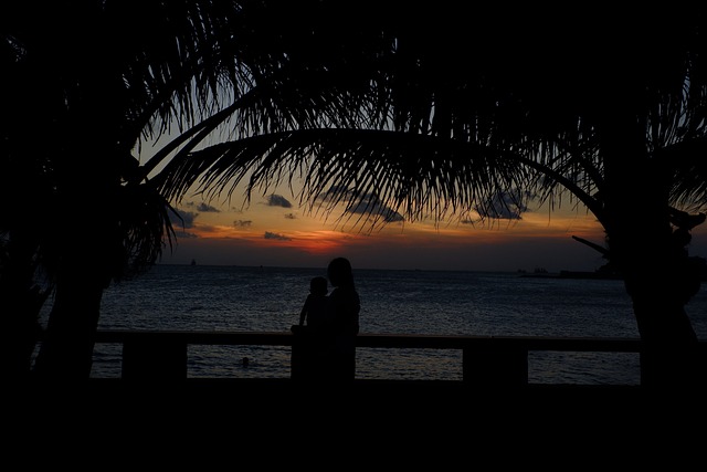 Free Sunset Sun photo and picture