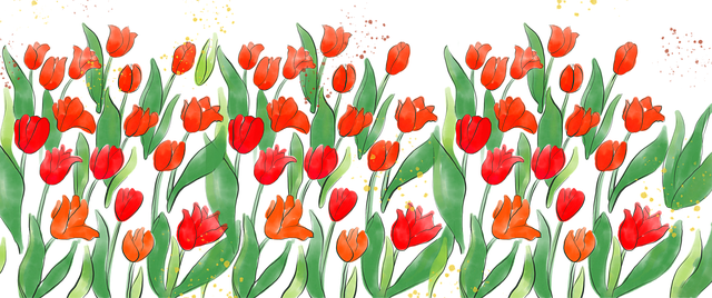 Free tulips flower spring illustration