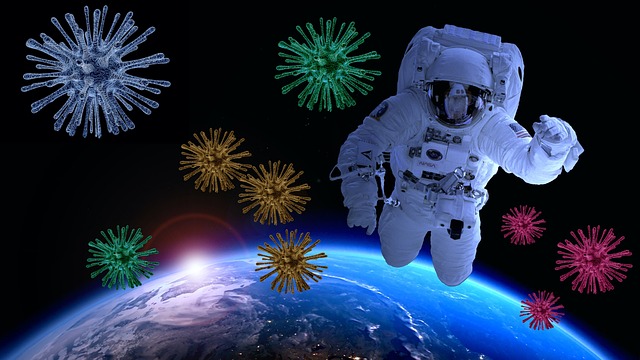 Free Photo Montage Fancy photo and picture