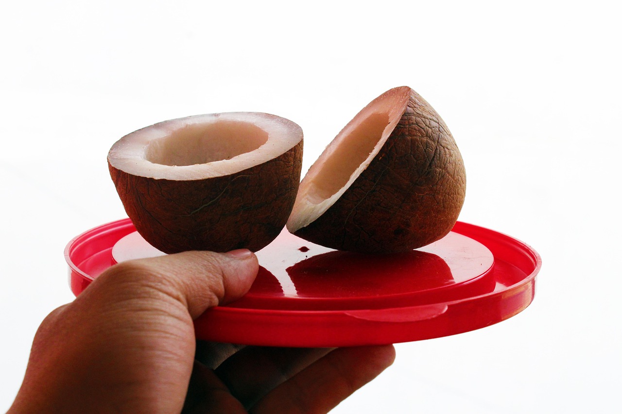 Coco Cocos - Foto gratis en Pixabay - Pixabay