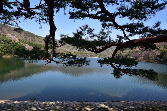 Lake, Recht Auf Wasser-Park
