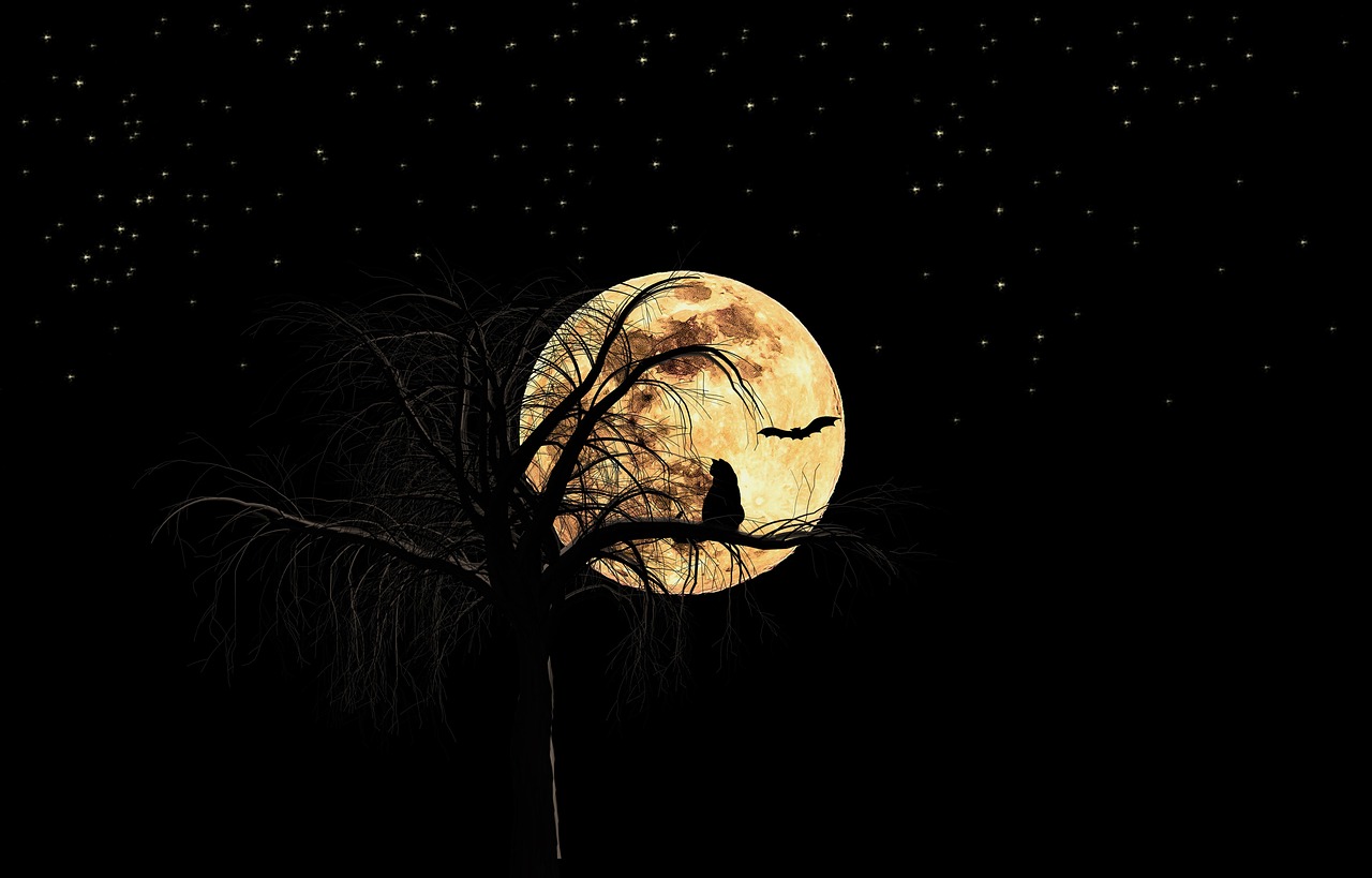 Moon Full Tree Free Photo On Pixabay Pixabay