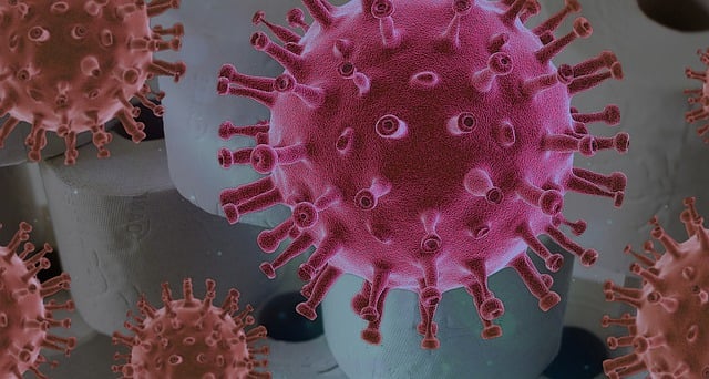 Free corona coronavirus covid illustration