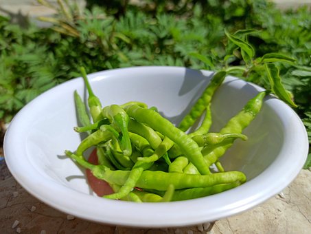 Free Chili Chili Green photo and picture