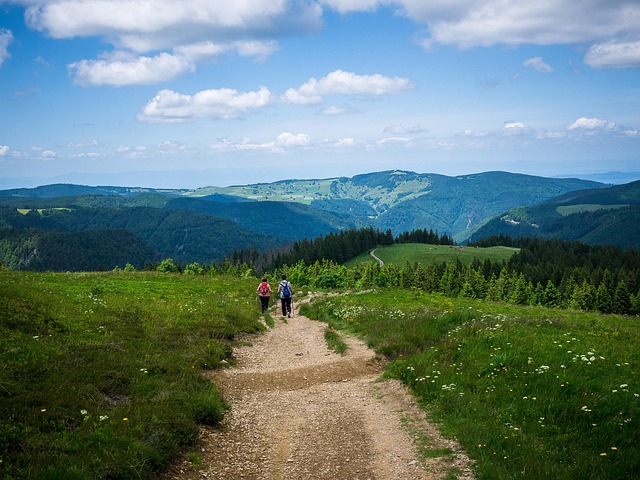 Free Hike Walker photo and picture