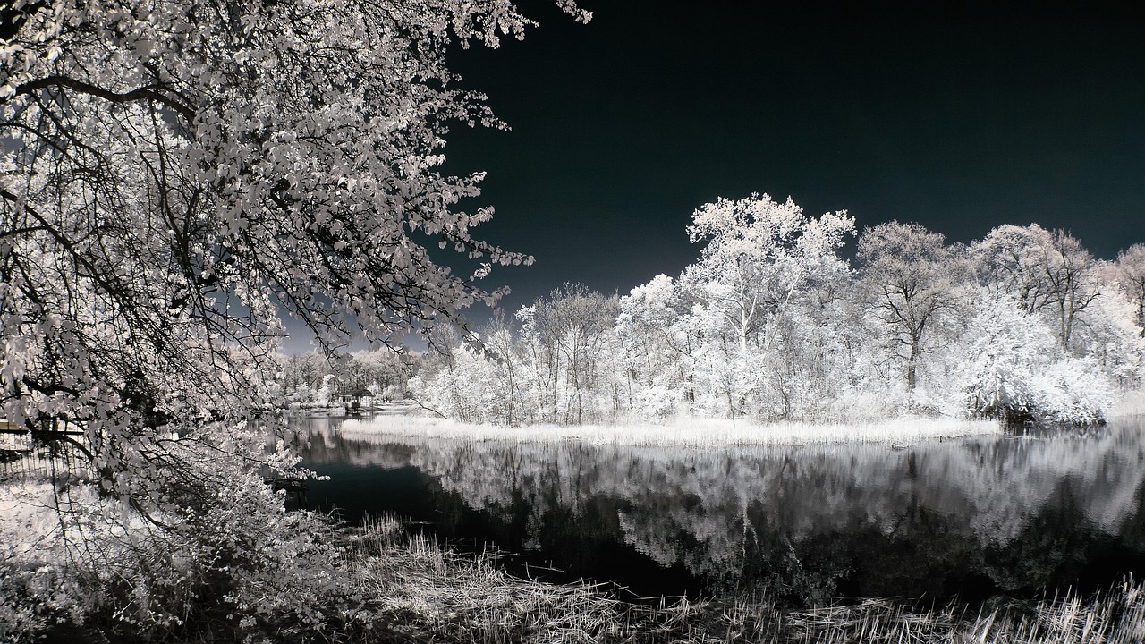 Ir Infrared Landscape Free photo on Pixabay Pixabay