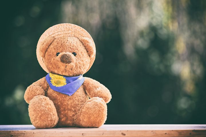 1,000+ Free Soft Toy & Teddy Bear Photos - Pixabay
