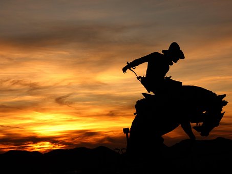 Cowboy, Rodeo, Vestlig, Hest, Natur, Dyr
