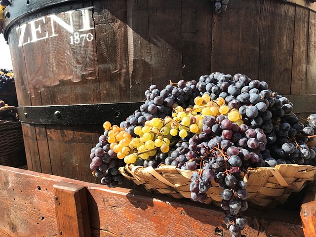 Free Grapes Wine photo and picture