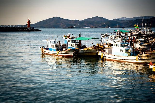 Free Sea Nature photo and picture