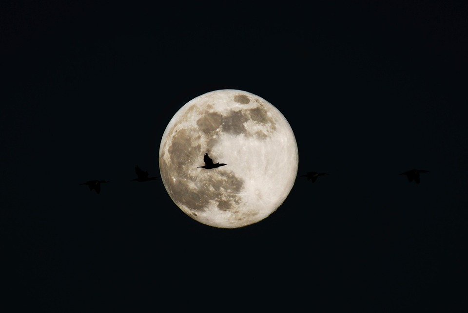 月亮 满月 夜晚 - Pixabay上的免费照片 - Pixabay