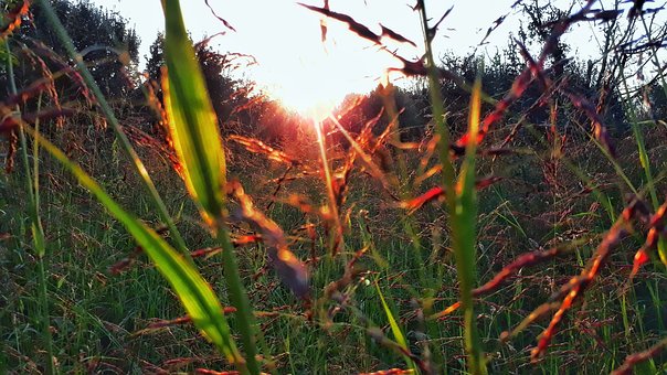 Free Sun Red photo and picture