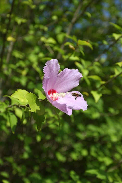Image 16
