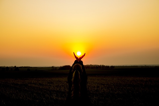 Free Sun Catch Sunset photo and picture