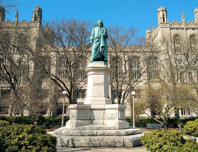 Free Statue Carl Von Linne photo and picture