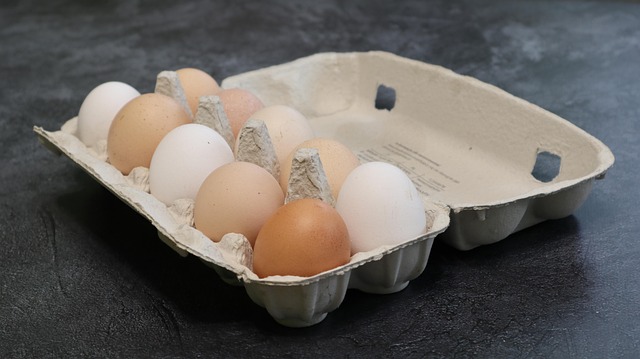 Free Egg Eggs photo and picture